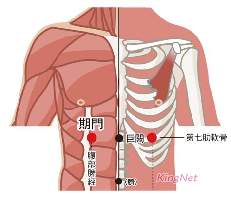 旗門穴|期門穴